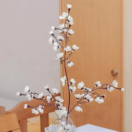 Lovely In The Perfect Location * سبليت