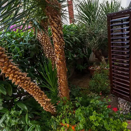 Lovely In The Perfect Location سبليت